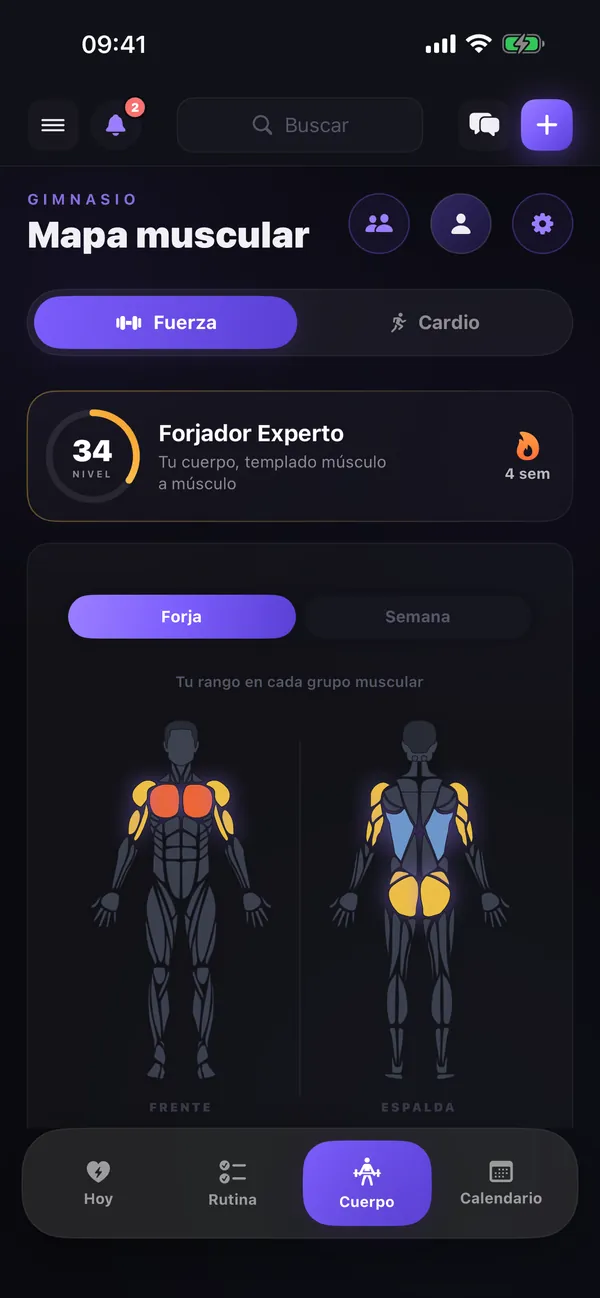 Mapa muscular de LifeOS con rango Forjador Experto